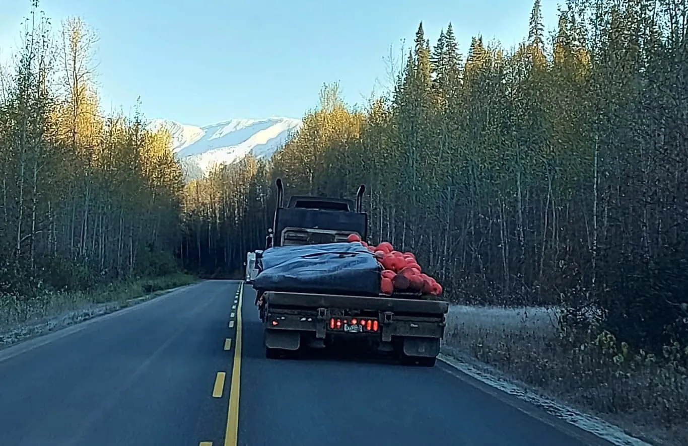 Truck carrying walkway sections on a forest road in Canada